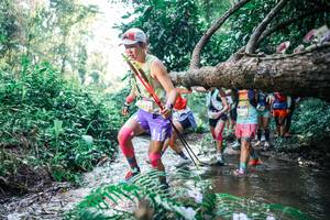 BIB: 
                            <button type="button" onclick="openModal(25450011)" class="btn btn-primary btn-sm float-right btn-popup" data-toggle="modal" data-target=".modal-high-quality">
                        <i class="fas fa-shopping-cart"></i> Add to Cart
                    </button>
                                            <button type="button" onclick="isThisMe(25450011, true)" class="btn btn-success btn-sm float-right btn-popup btn-isme hidden" data-toggle="tooltip" data-placement="bottom" title="นี่คือรูปของคุณใช่ไหม คลิกที่นี่เพื่อเอาเข้าอัลบั้ม">
                        <i class="fas fa-plus"></i> Add to album
                    </button>
                    <button type="button" onclick="isThisMe(25450011, false)" class="btn btn-warning btn-sm float-right btn-popup btn-isnotme hidden">
                        <i class="fas fa-ban"></i> Remove from album
                    </button>